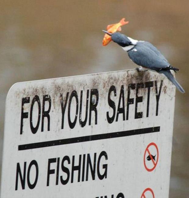 No fishing!